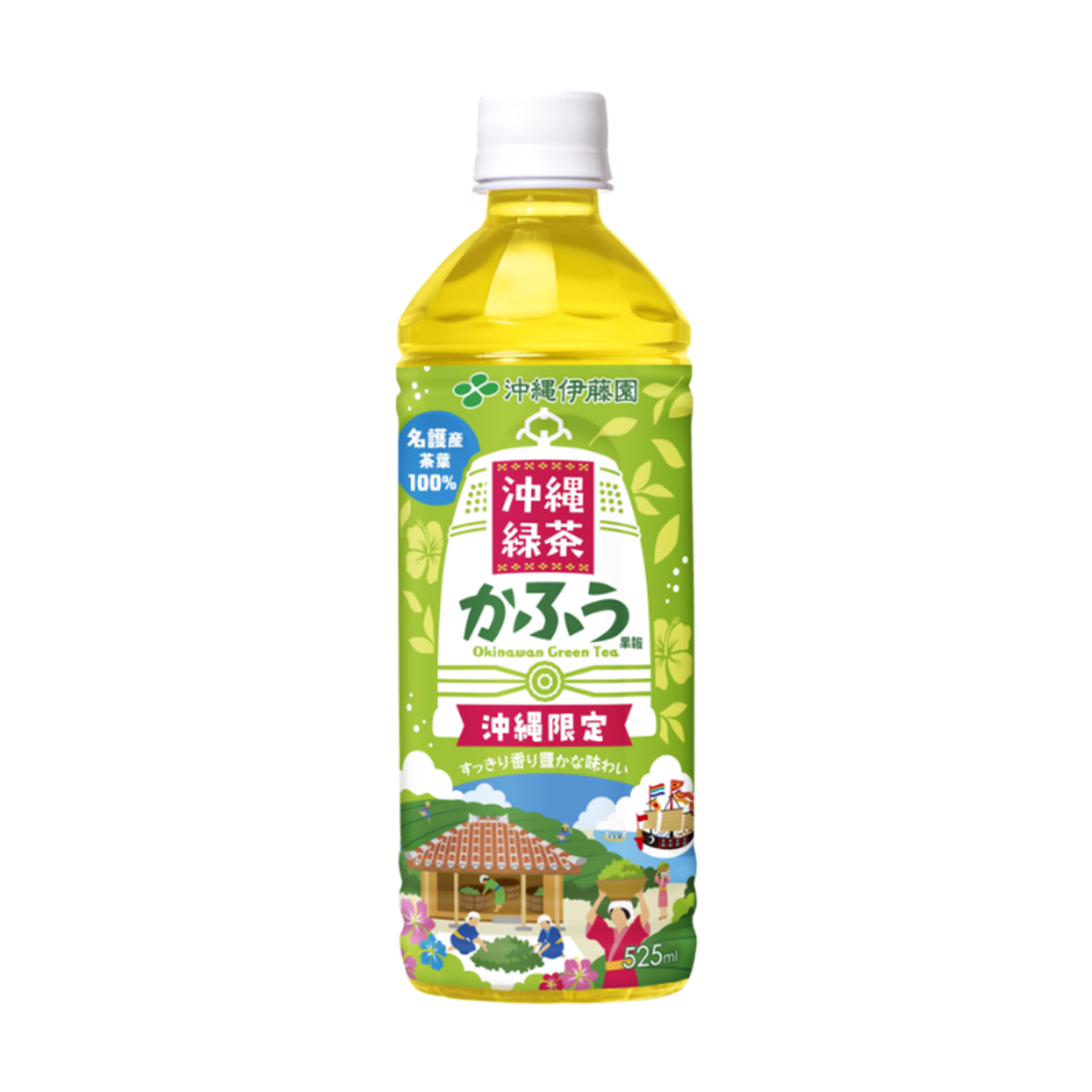 沖縄緑茶かふう 525ml×24本